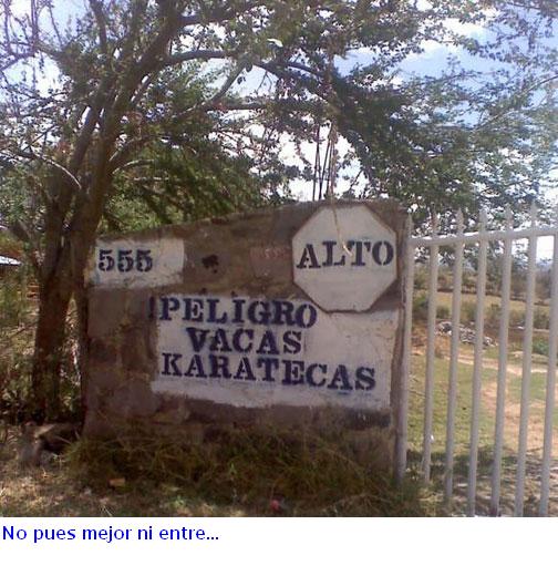 vacas-karatecas.jpg